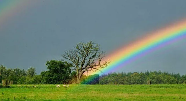 Boring Rainbow Photo